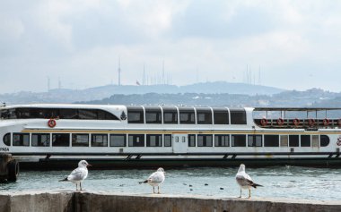 Bosphorus feribot. Yolcu gemisi, Istanbul, Türkiye