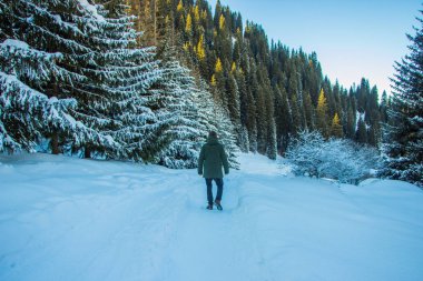 Genç adam kış dağlarda yürüyüşe çıktı. Arkadan Görünüm.