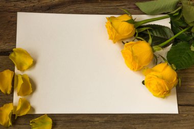 Sarı Gül çiçek ve yaprakları boş kağıda