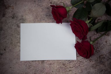 Boş kağıt ahşap arka plan üzerinde kırmızı gül, yaprakları ve beyaz