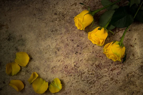 Rosa amarilla y pétalos sobre un fondo de madera — Foto de Stock