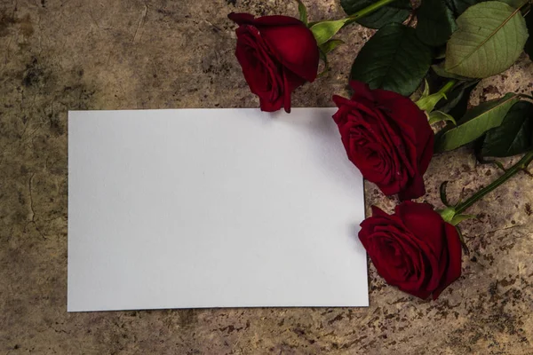 Czerwone róże, płatki i biały pusty papier na podłoże drewniane — Zdjęcie stockowe