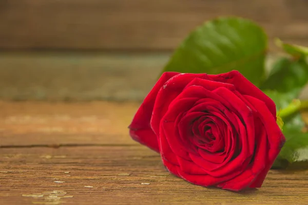 Rosa roja sobre una vieja mesa de madera — Foto de Stock