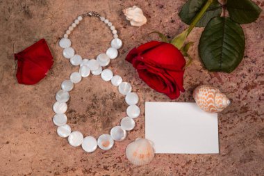 Mart 8, kırmızı gül çiçek ve kabukları