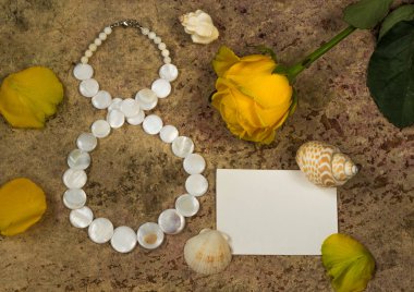 8 Mart, sarı gül çiçeği ve kabukları