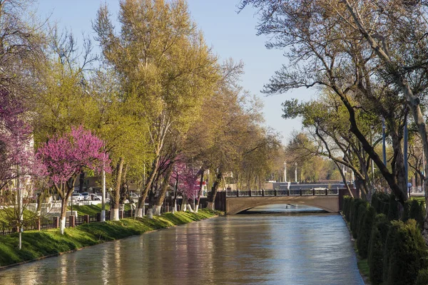 Brug over de rivier in het centrum van de Tashkent, Oezbekistan. — Stockfoto