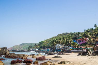 Arambol plaj taşlar, palmiyeler ve evler, Goa, Hindistan