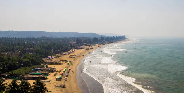 Arambol beach top view, palms, beach and Arabian sea, Goa, India
