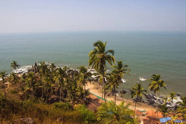 Arambol beach top view, palms, beach and Arabian sea, Goa, India