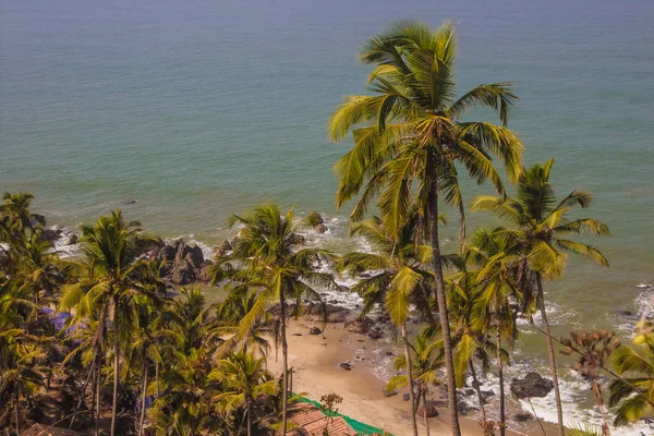 Arambol beach top view, palms, beach and Arabian sea, Goa, Índia — Fotografia de Stock