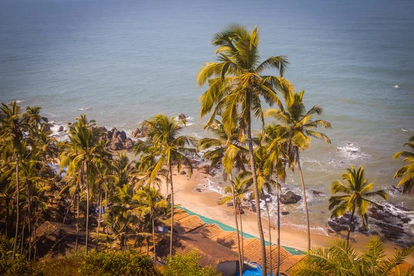 Arambol beach půdorysu, palmy, pláž a arabské moře, Goa, Indie — Stock fotografie