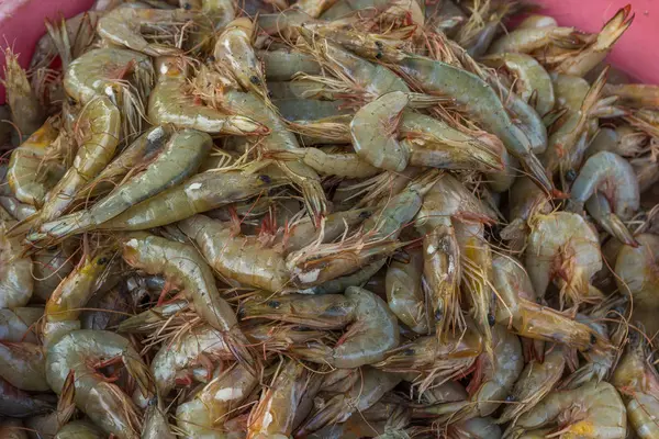 Camarão de frutos do mar para venda armazenado na caixa da marca de peixe Chapora — Fotografia de Stock