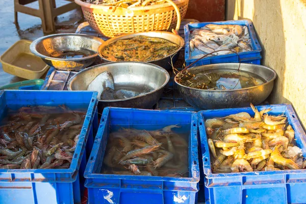 Frutos do mar para venda armazenados na caixa do mercado de peixe Chapora em I — Fotografia de Stock