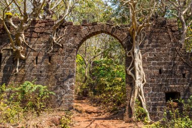 Antik kale duvarı arch. Redi Kalesi (Yashwantgad Fort). IND