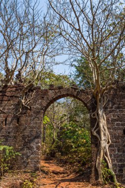Antik kale duvarı arch. Redi Kalesi (Yashwantgad Fort). IND