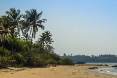 Maharashtra eyalet, Hindistan, Arap Denizi vahşi beach