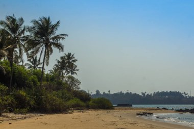 Maharashtra eyalet, Hindistan, Arap Denizi vahşi beach