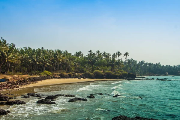 Maharashtra eyalet, Hindistan, Arap Denizi vahşi beach