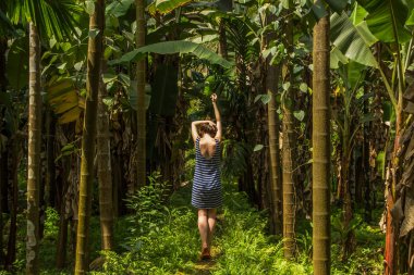 Tropikal baharat plantation, Goa, Ind ormanda genç kadın