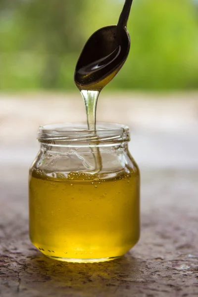 Honing in pot en venster met green on backcground — Stockfoto