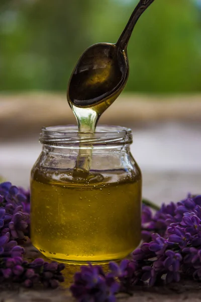 Biologische honing in glazen pot omgeven door lente bloesem paars l — Stockfoto