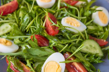 Roka, domates, yumurta ve salatalık ile taze yeşil salata