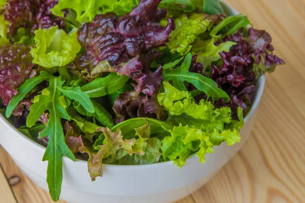 샐러드 잎, 자주색 상 추, 시금치, arugula. 혼합된 신선한 살라 — 스톡 사진