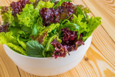 Salata yaprakları, mor marul, ıspanak, roka. Karışık taze sala