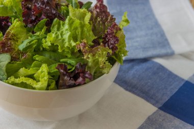 Salata yaprakları, mor marul, ıspanak, roka. Karışık taze sala