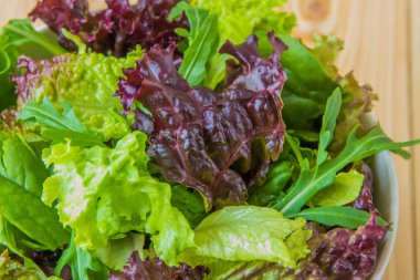 Salata yaprakları, mor marul, ıspanak, roka. Karışık taze sala