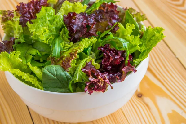 Salata yaprakları, mor marul, ıspanak, roka. Karışık taze sala