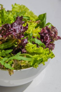 Salata yaprakları, mor marul, ıspanak, roka. Karışık taze sala