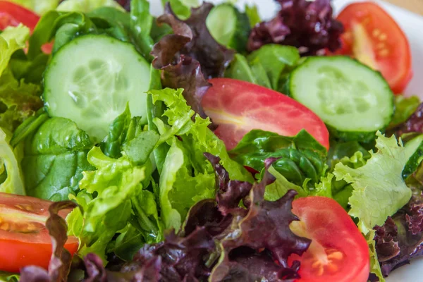 Frisse salade met gemengde greens, cherry tomaat en komkommer — Stockfoto