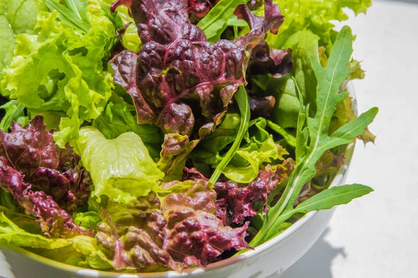 Salata yaprakları, mor marul, ıspanak, roka. Karışık taze sala