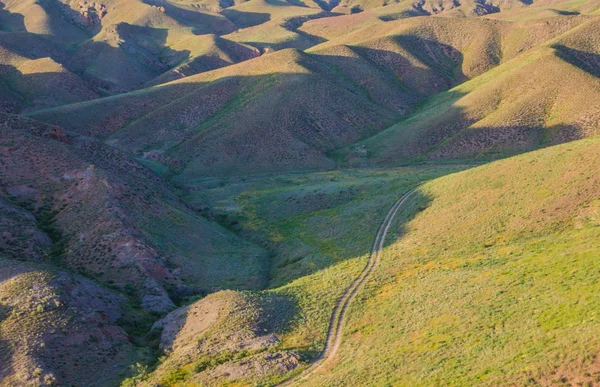 Bozkır Kazakistan'ın yolda. Üstten Görünüm