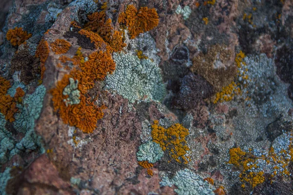 Struttura di pietra. Roccia sfondo naturale chiudere u — Foto Stock