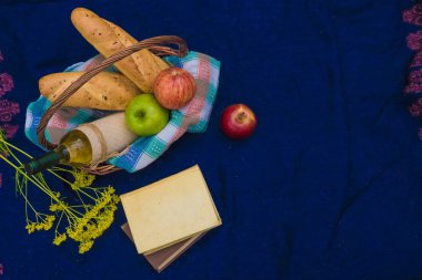 Mavi halı üstten görünüm üzerinde piknik sepeti. Kitaplar, sarı çiçek