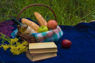 Doğada mavi halıda piknik sepeti. Kitaplar, sarı çiçek