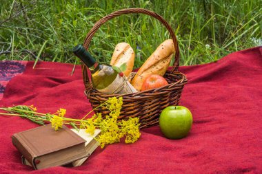 Piknik sepeti yemek, sarı çiçekler ve kırmızı bla ilgili kitaplar