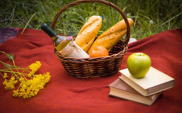 Корзина для пикника на красном одеяле на природе. Яблоки, белое вино , — стоковое фото