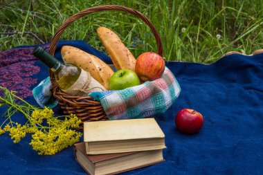 Doğada mavi halıda piknik sepeti. Kitaplar, sarı çiçek