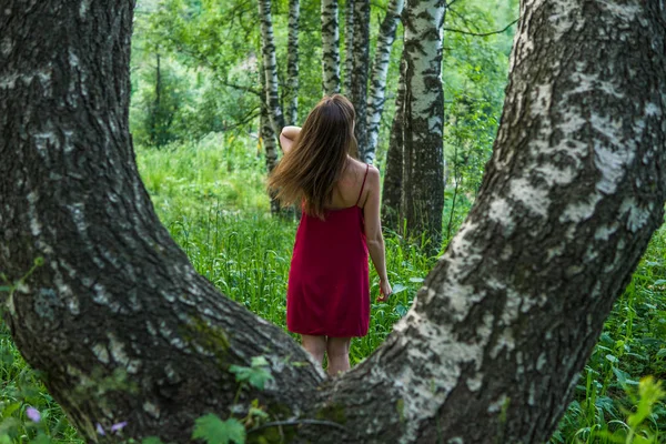 Chica bonita en vestido rojo en un bosque de verano en las montañas — Foto de Stock