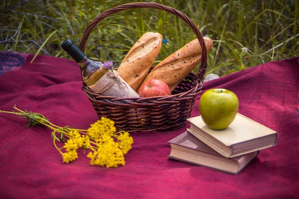 Doğa, kırmızı paket üzerinde piknik sepeti. Elma, beyaz şarap, 
