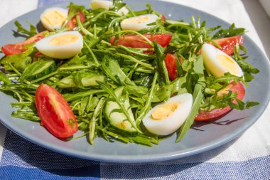 Roka, domates, yumurta ve salatalık ile taze yeşil salata