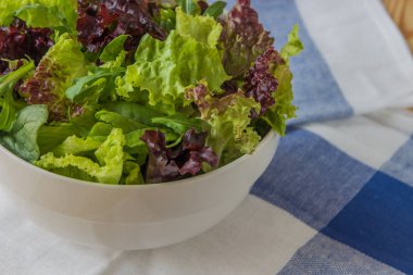 Salata yaprakları, mor marul, ıspanak, roka. Karışık taze sala
