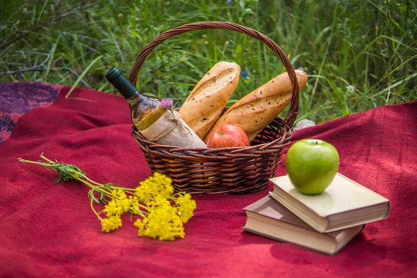 Doğa, kırmızı paket üzerinde piknik sepeti. Elma, beyaz şarap, 