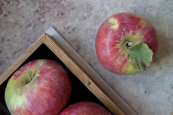 Verse appels met stuifmeel, onderdeel van appels in het vak — Stockfoto