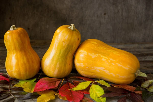 Kabaklar ahşap arka plan üzerinde. Üç bebek kabak 