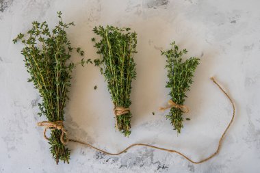 Beyaz zemin üzerine kekik. Bir demet taze kekik