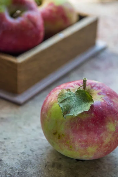Verse appels in de herfst. Appels met stuifmeel op de huid. — Stockfoto